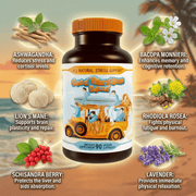 Hippie Farms Stress Support - Good Vibrations Blend - Ashwagandha, Lions Mane, & More Vitamins & Supplements