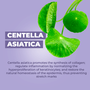 Baby Jolie Paris Stretch Marks Cream | Triple Action for Pregnancy Mom Care > Stretch Mark Cream > Stretch Mark Cream for Pregnancy