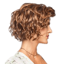 VIP Extensions SWEET TALK By Gabor Synthetic Wig