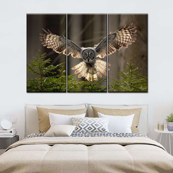 Flying Owl Wall Art