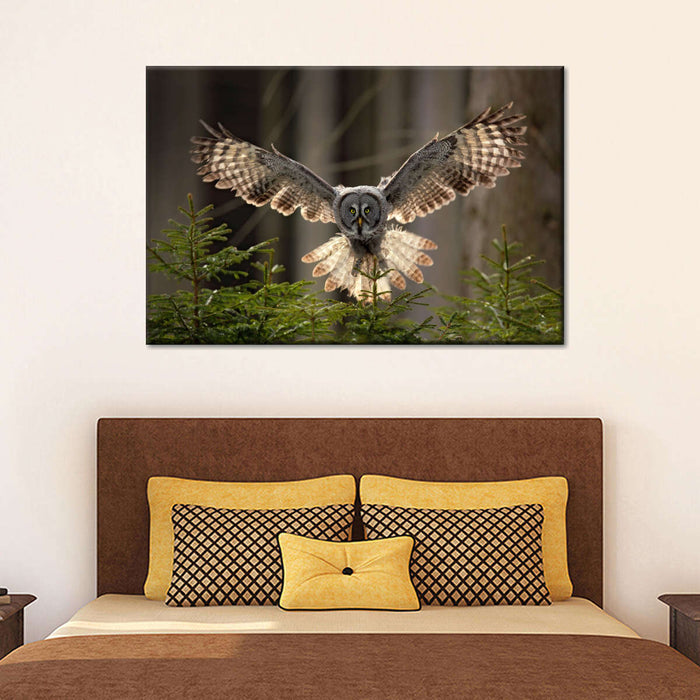 Flying Owl Wall Art