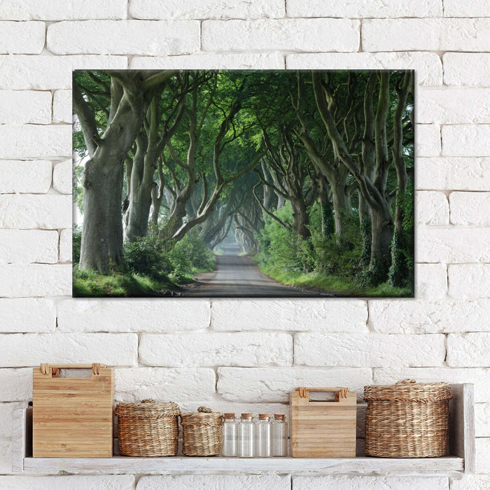 Dark Hedges Wall Art