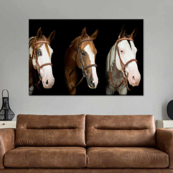 American Paint Horses Wall Art