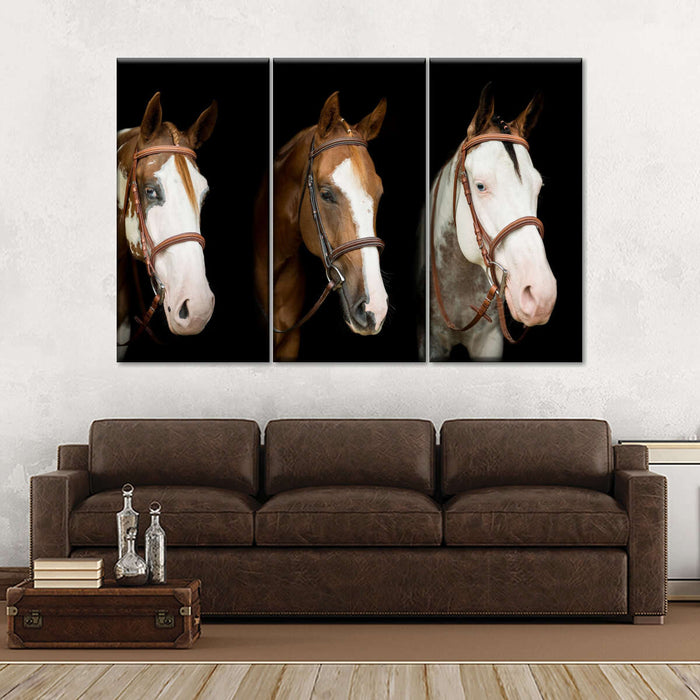 American Paint Horses Wall Art