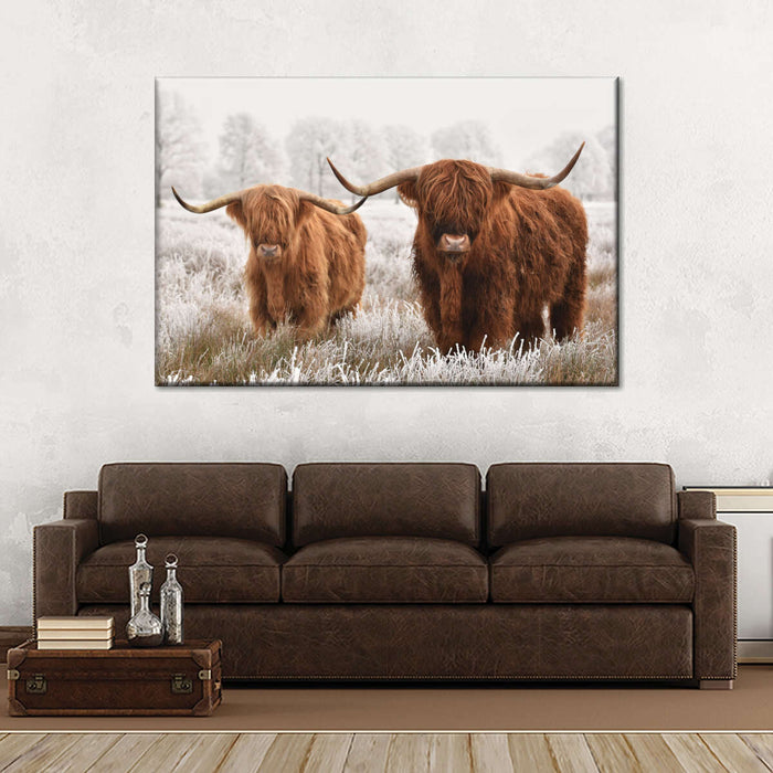 Hairy Scottish Highland Cows Wall Art