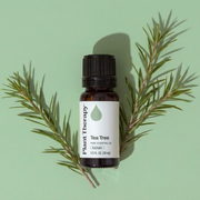 Plant Therapy Tea Tree Essential Oil Essential Oil