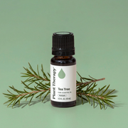 Plant Therapy Tea Tree Essential Oil Essential Oil