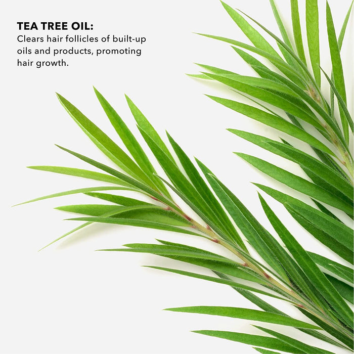Sunday Ii Sunday - Tea Tree Essential Oil With Mct