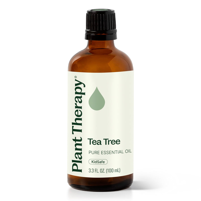 Plant Therapy Tea Tree Essential Oil Essential Oil