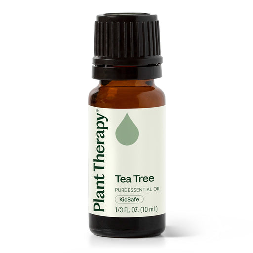 Plant Therapy Tea Tree Essential Oil Essential Oil