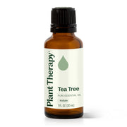 Plant Therapy Tea Tree Essential Oil Essential Oil