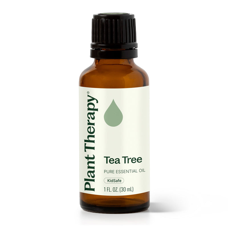 Plant Therapy Tea Tree Essential Oil Essential Oil