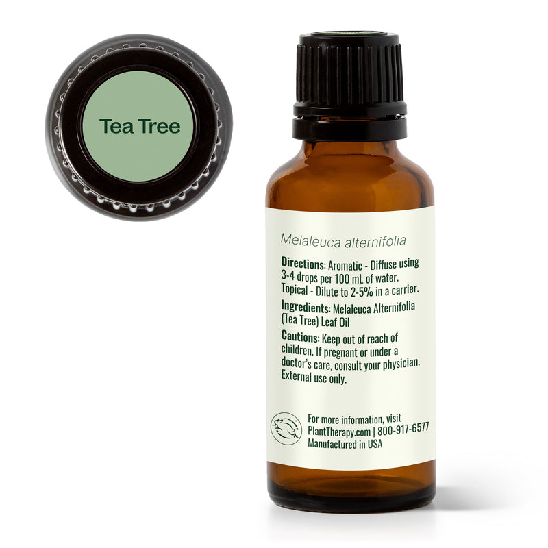 Plant Therapy Tea Tree Essential Oil Essential Oil