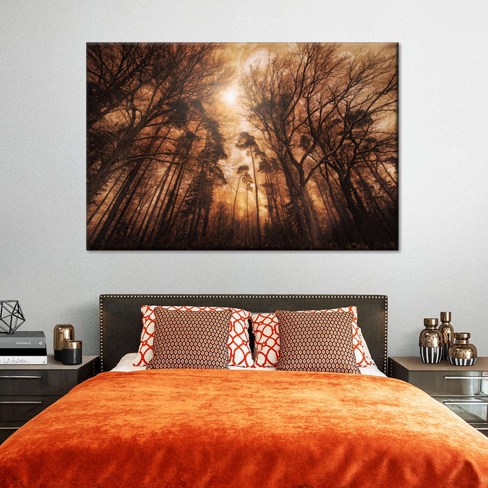 Forest Fire Wall Art