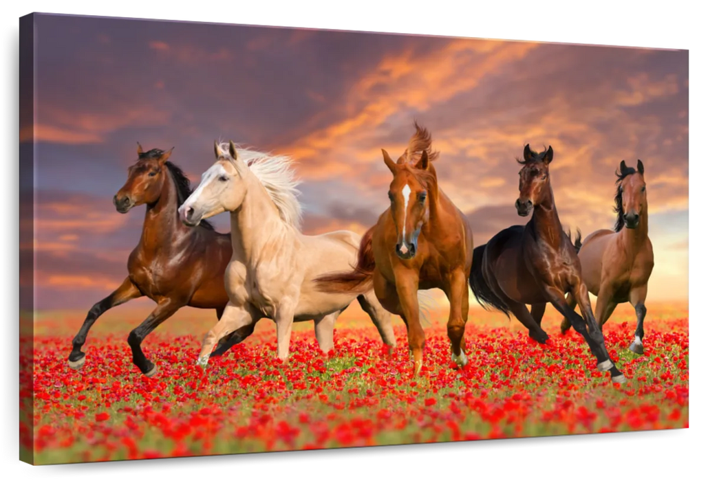 Mustang Horses Wall Art