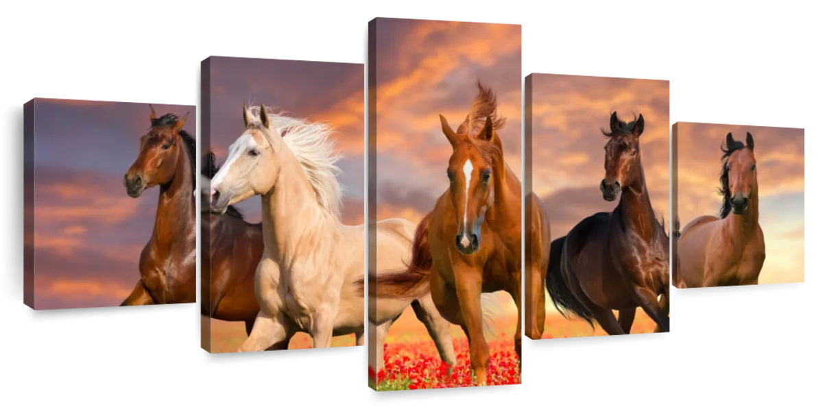 Mustang Horses Wall Art