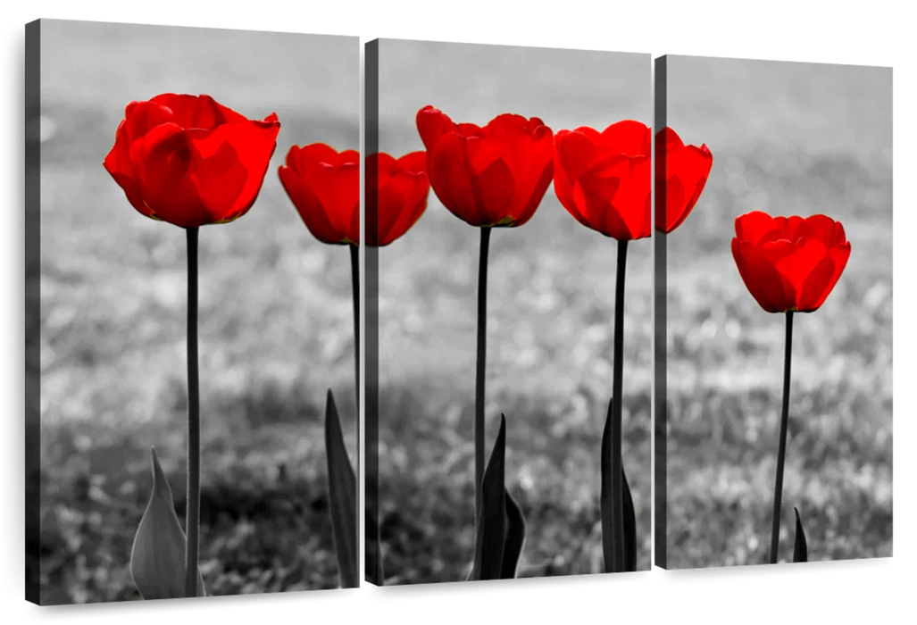 Five Red Tulips Wall Art