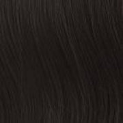 VIP Extensions Top of the Head Clip-in crown by Hairdo Accessories