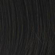 VIP Extensions Top of the Head Clip-in crown by Hairdo Accessories