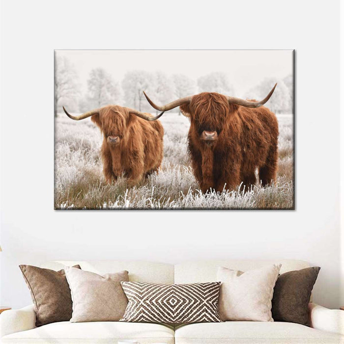 Hairy Scottish Highland Cows Wall Art