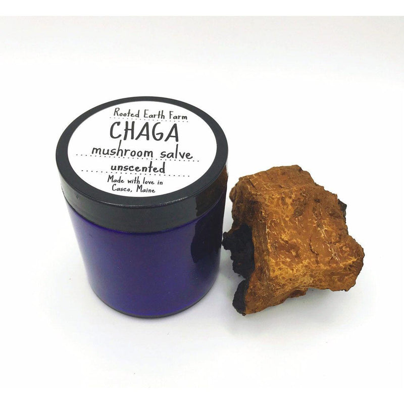 Rooted Earth Farm + Apothecary Chaga Salve Herbal Salves + Balms