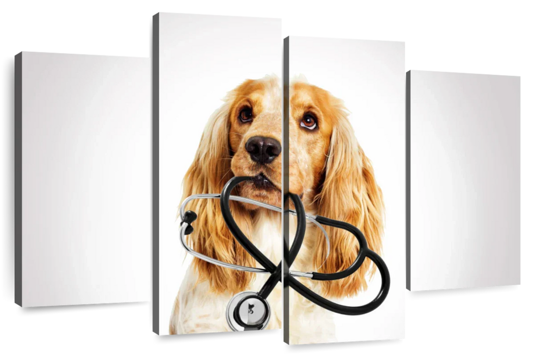 Doctor Dog Wall Art