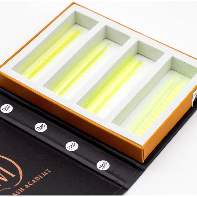 Mega Lash Academy UV - Lemon 5D Rapid Promade Fans - 600 Fans Promade Fans