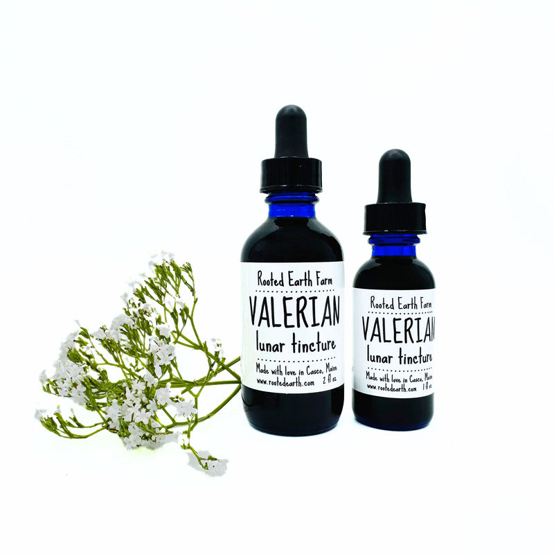 Rooted Earth Farm + Apothecary Valerian Tincture Tinctures + Capsules