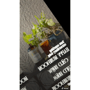 Rising For People Coffee Co. Happy Mushroom concentrated Cold Brew coffee Coffee