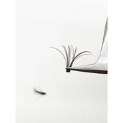 VIP Extensions VIP Quick Fan Lash Extensions D curl 0.05 Lashes Extensions