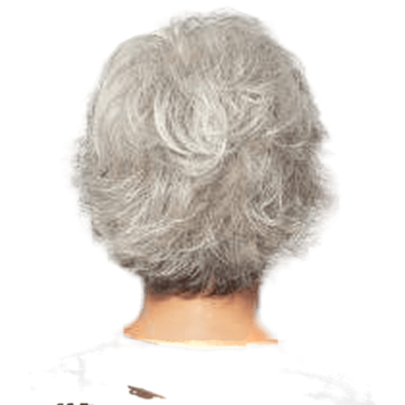 VIP Extensions VOLTAGE - Wig  by Raquel Welch Synthetic Wig