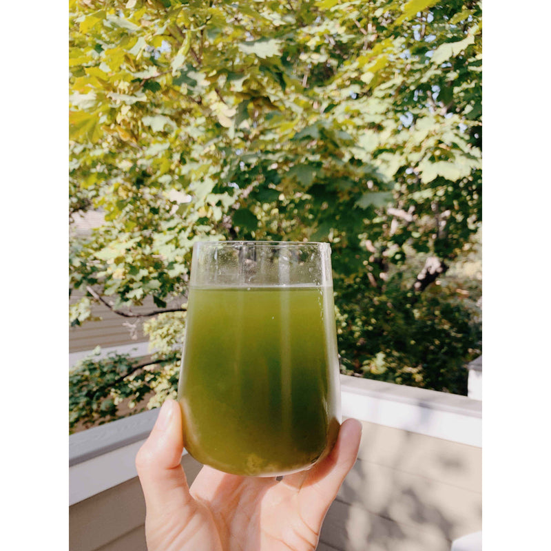 Sun Potion Chlorella Powder (Organic, Sound Processed) Adaptogen