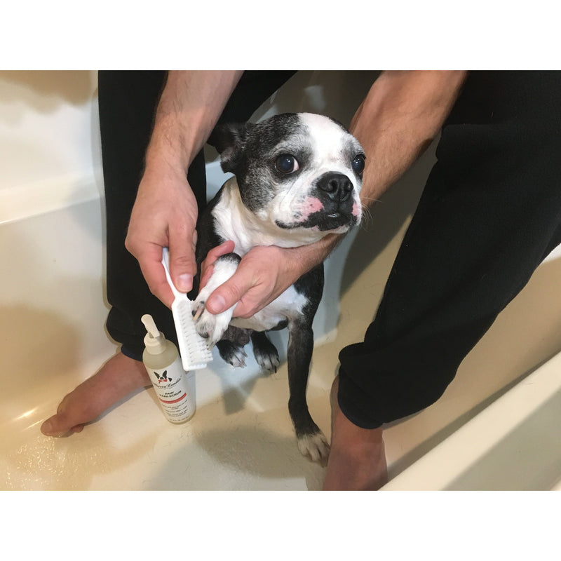 Warren London Paw Sani-Scrub - Gallon - Paw and Nail Cleanser Spa Product