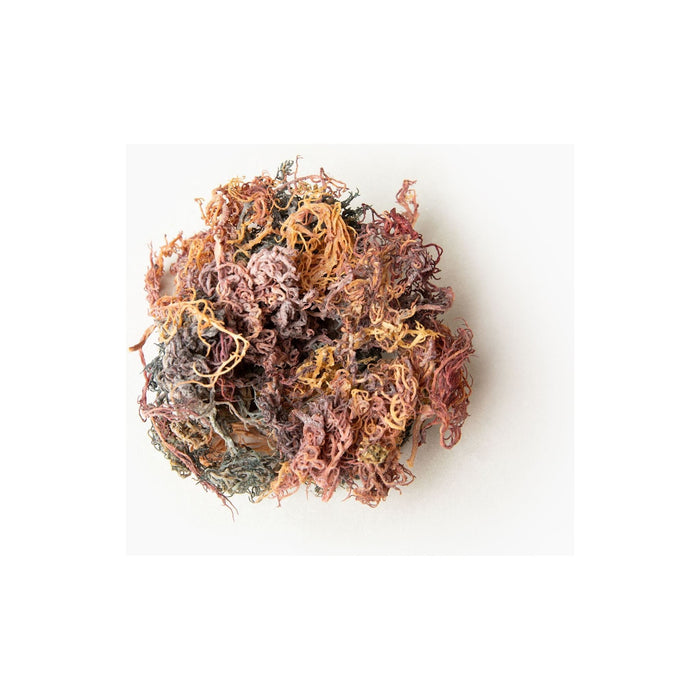Holistic Vybez - Raw Full Spectrum Sea Moss