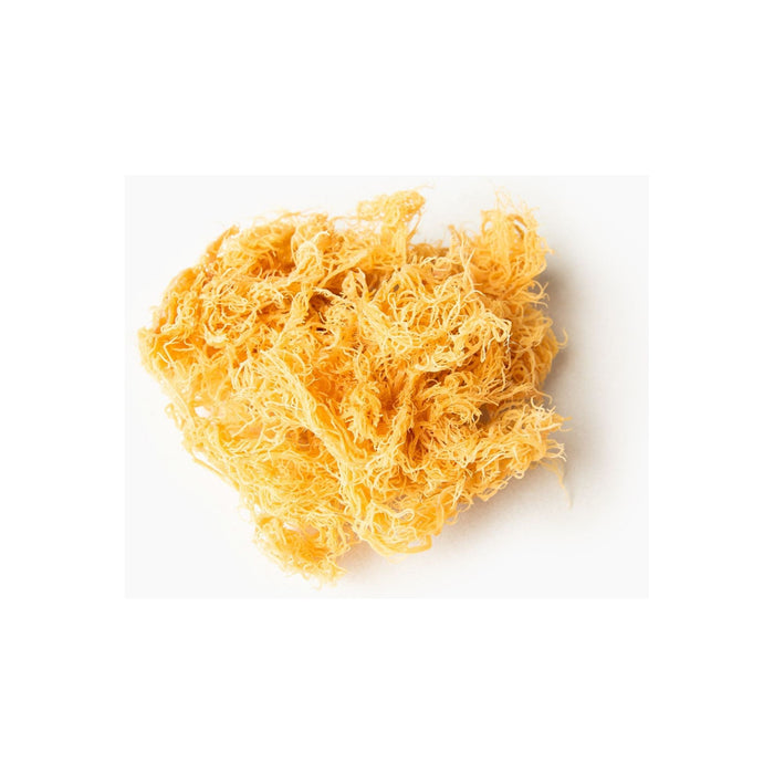Holistic Vybez - Raw St Lucia Gold Sea Moss