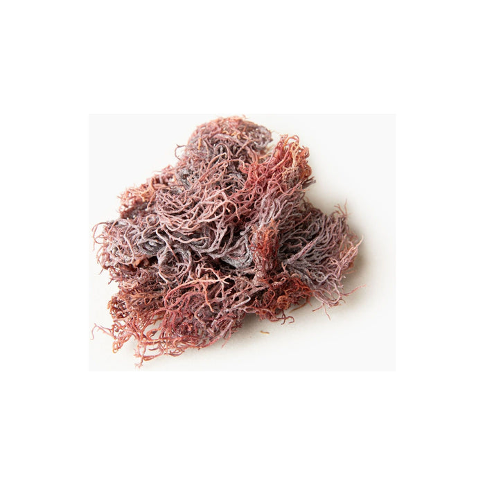 Holistic Vybez - Raw Royal Purple Sea Moss