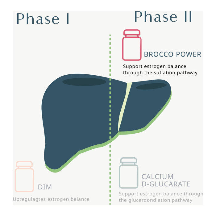 Brocco Power - Sulforaphane