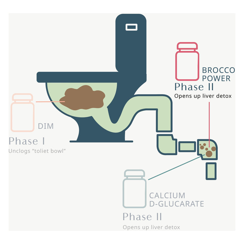 Wellena / Hormones Balance Brocco Power - Sulforaphane Single