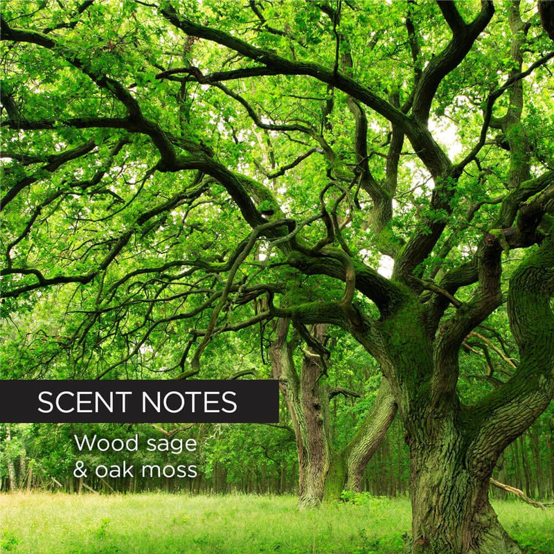 whish beauty Aftershave Gel For Face and Body - Whish Golf Club Body Care > Hair Removal > Aftershave