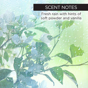 whish beauty Aluminum Free Deodorant Stick - Helps Moderate Hair Regrowth Body Care > Deodorant & Body Care