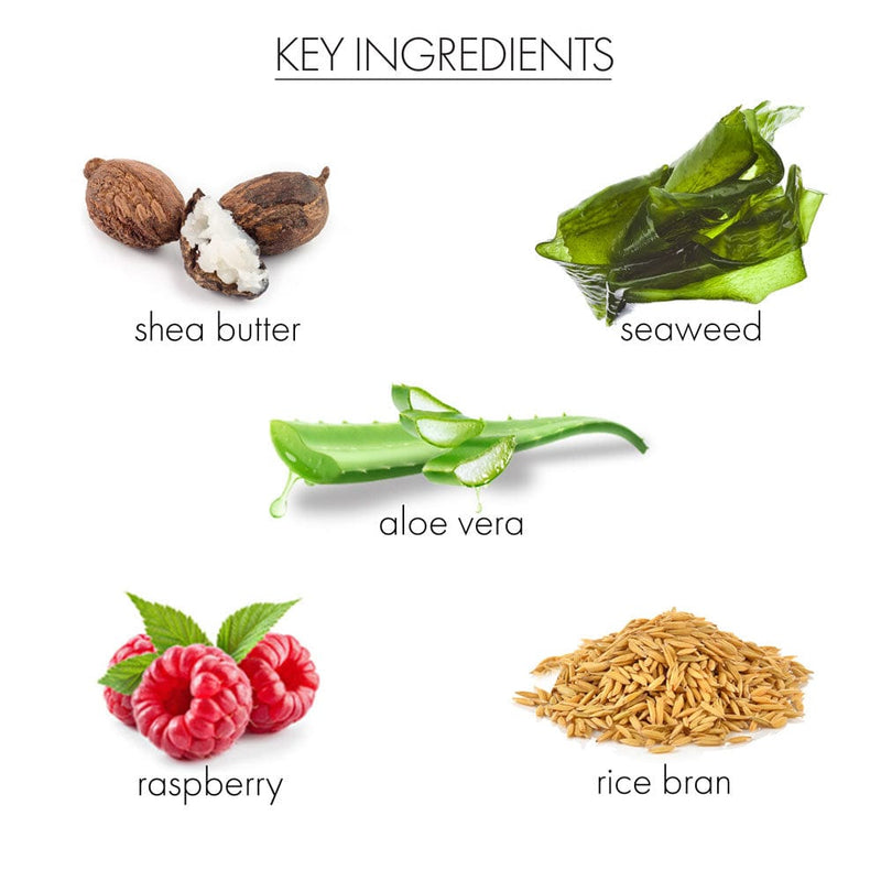 whish beauty Lemongrass Body Butter Body Care > Body Moisturizers > Body Butters