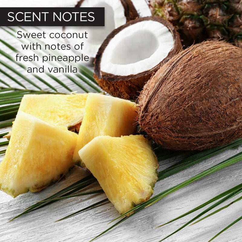 whish beauty Coconut Sugar Scrub Body Care > Exfoliators > Sugar Scrub