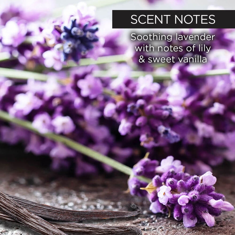 whish beauty Lavender Sugar Scrub Body Care > Exfoliators > Sugar Scrub