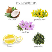 whish beauty Coconut Milk + Verbena Hand Remedy Body Care > Hand and Foot Treatment