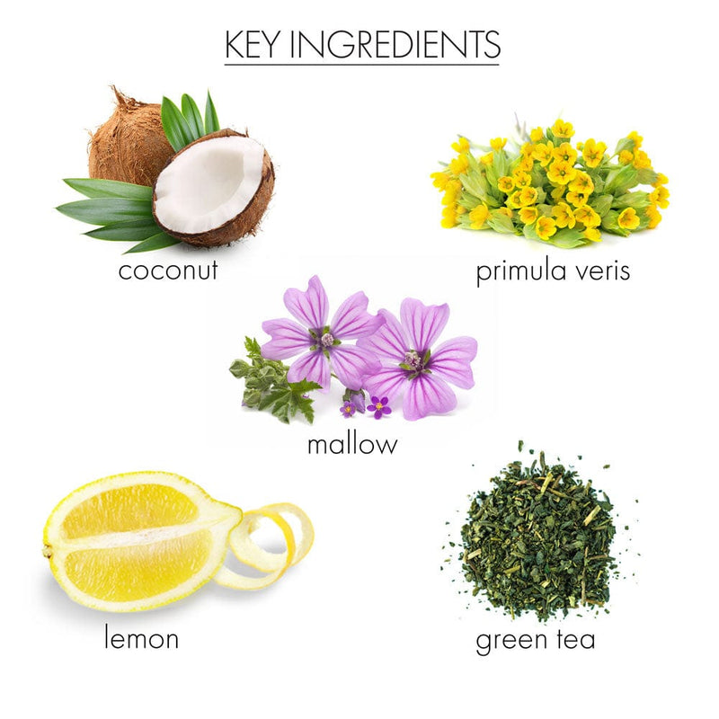 whish beauty Coconut Milk + Verbena Hand Remedy Body Care > Hand and Foot Treatment