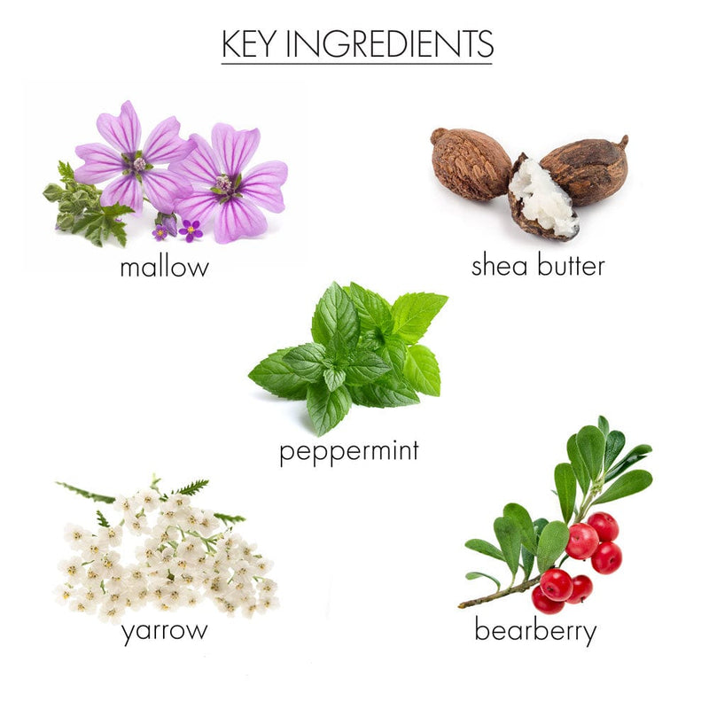 whish beauty Coconut Milk+Verbena CC Body Cream Body Care > Self Tan & Glow