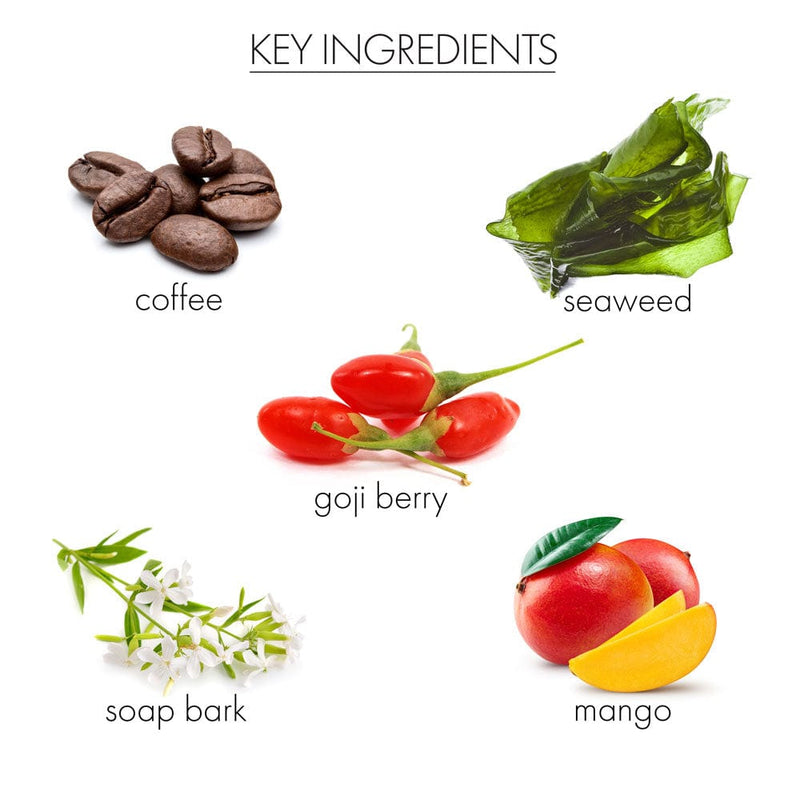 whish beauty Coconut Milk+Verbena - Coconut Self Tanner Lotion Body Care > Self Tan & Glow > Self Tanner