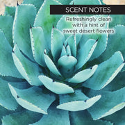 whish beauty Sun Kissed Agave Self Tanner Lotion - LIMITED EDITION! Body Care > Self Tan & Glow > Self Tanner