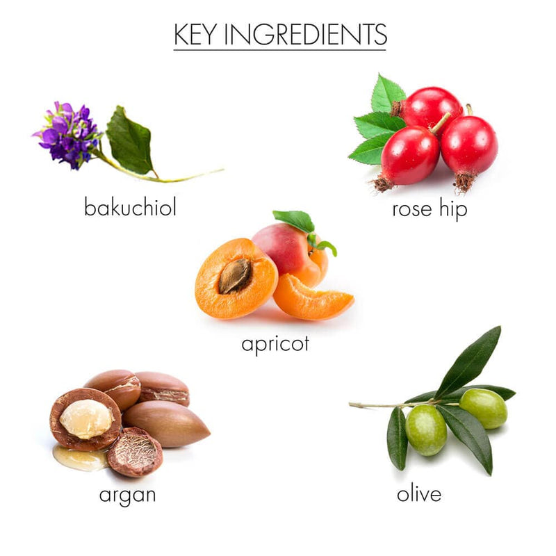 whish beauty Dry Oil Body Mist with Bakuchiol Skin Care > Moisturizers