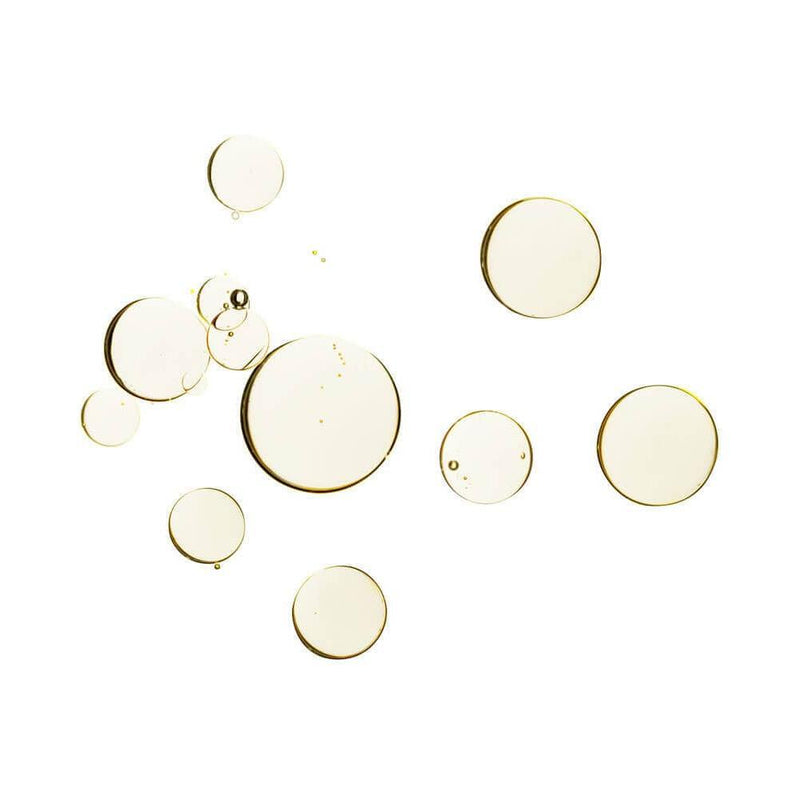 whish beauty Founder's Vault Bakuchiol Boosting Drops - 60% OFF Skin Care > Serums